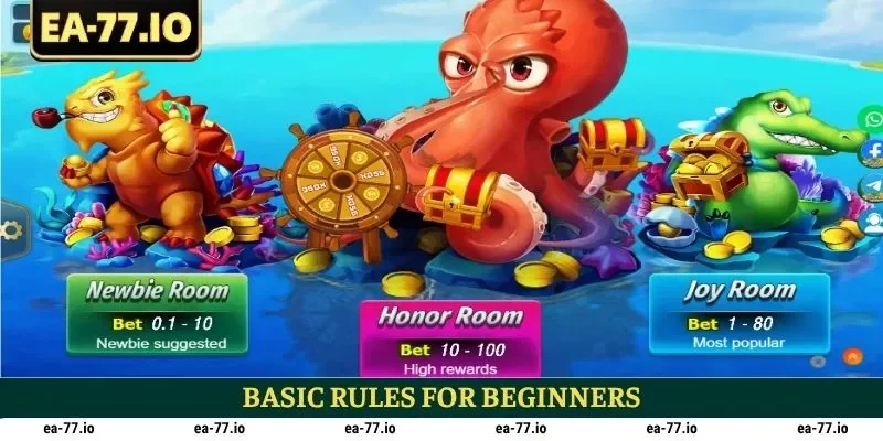 Basic rules for beginners