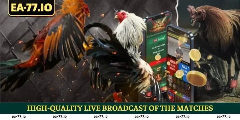 High-quality live broadcast of the matches