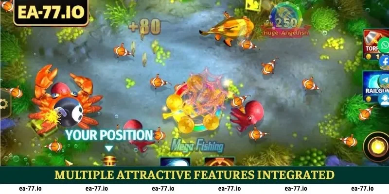 Multiple attractive features integrated