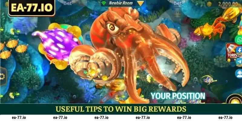 Useful tips to win big rewards